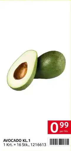 Transgourmet AVOCADO KL.1 Angebot
