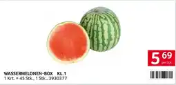 Transgourmet Wassermelonen-Box KL.1 Angebot
