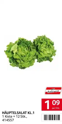 Transgourmet Häuptelsalat KL.1 Angebot