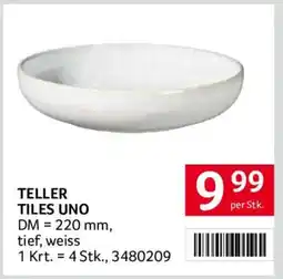 Transgourmet Teller Tiles Uno Angebot