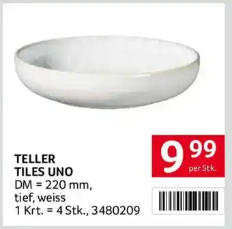 Transgourmet Teller Tiles Uno Angebot