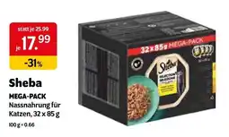 Das Futterhaus Sheba Nassnahrung für Katzen Angebot