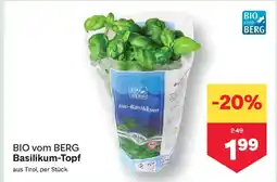 MPreis Bio vom berg basilikum-topf Angebot