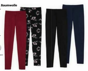 Hofer Damen-Leggings Angebot