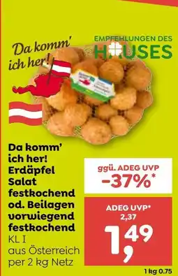 ADEG Erdäpfel Salat festkochend Angebot