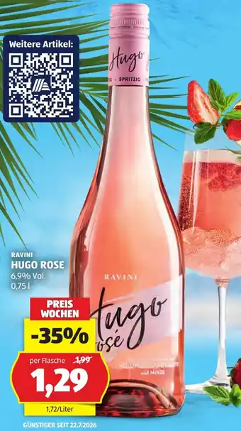 Hofer Hugo Rose Angebot