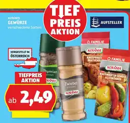 Hofer Kotányi Gewürze Angebot