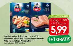 Spar Iglo Garnelen, Polardorsch natur XXL, Wildlachs Natur MSC oder Kabeljau Natur MSC Angebot