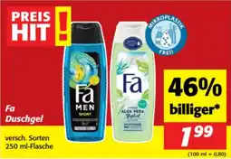 Nah&Frisch Fa Duschgel Angebot