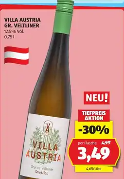 Hofer Villa Austria Gr. Veltliner Angebot