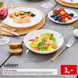Interspar Geschirr aus Opalglas Angebot