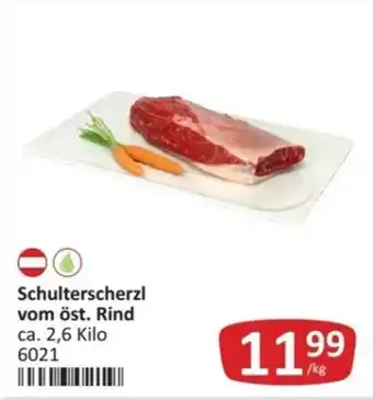Schulterscherzl vom öst. Rind