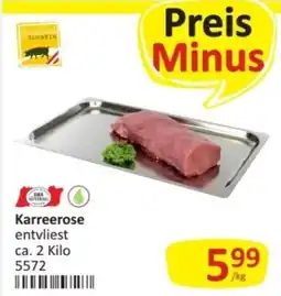 Kastner Karreerose entvliest Angebot
