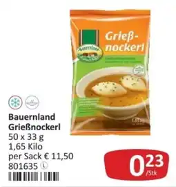 Kastner Bauernland Grießnockerl Angebot