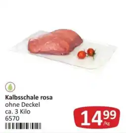 Kastner Kalbsschale rosa Angebot