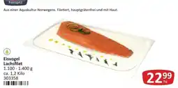 Kastner Eisvogel Lachsfilet Angebot