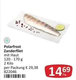 Kastner Polarfrost Zanderfilet Angebot