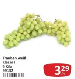 Kastner Trauben weiß Angebot