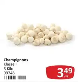 Kastner Champignons Klasse I Angebot