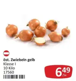 Kastner öst. Zwiebeln gelb Angebot
