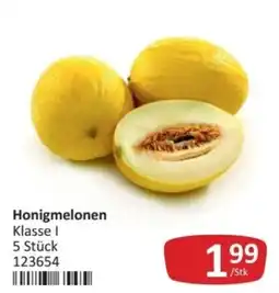 Kastner Honigmelonen Angebot