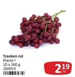 Kastner Trauben rot Angebot