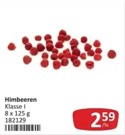 Kastner Himbeeren Angebot