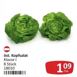Kastner öst. Kopfsalat Angebot