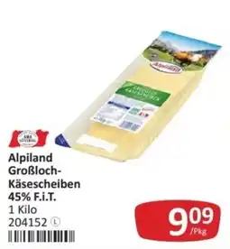 Kastner Alpiland Großbloch-Käsescheiben Angebot