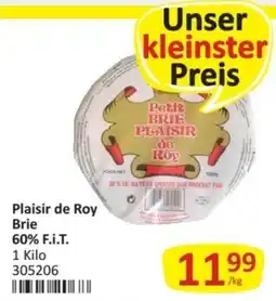 Kastner Plaisir de Roy Brie Angebot