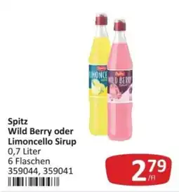 Kastner Spitz Wild Berry oder Limoncello Sirup Angebot