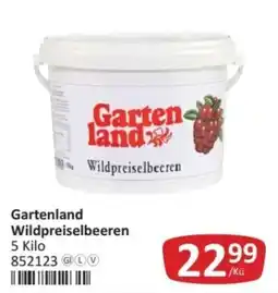 Kastner Gartenland Wildpreiselbeeren Angebot