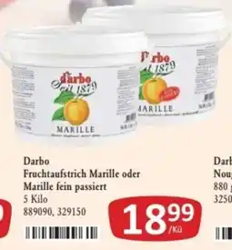 Kastner Darbo Fruchtaufstrich Marille Angebot