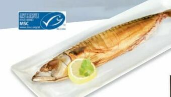 Metro Makrele Angebot