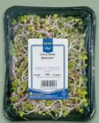 Metro Sprossenkeime China Rose Angebot