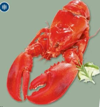 Metro Hummer Angebot