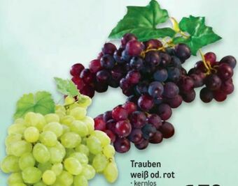 Metro Trauben Angebot