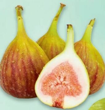 Metro Feigen Angebot