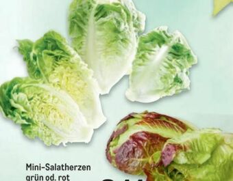 Metro Salatherzen Angebot