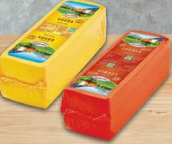 Metro Gouda Angebot