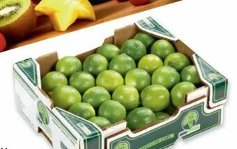 Metro Limetten Angebot