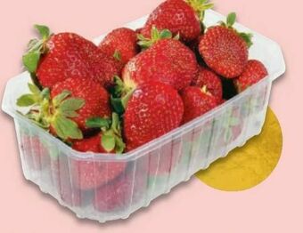 Metro Erdbeeren Angebot