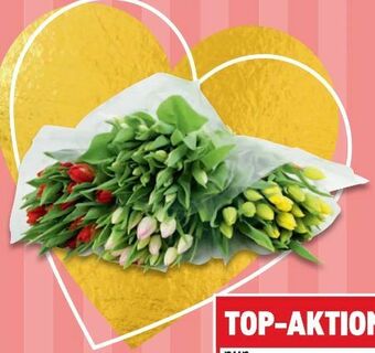 Metro Tulpen Angebot