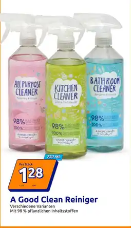 Action A Good Clean Reiniger Angebot