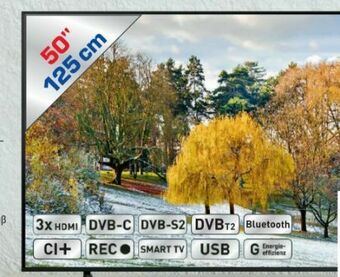 Metro Smart TV 50Q60A Angebot