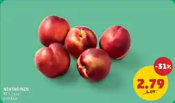 PENNY Nektarinen Angebot
