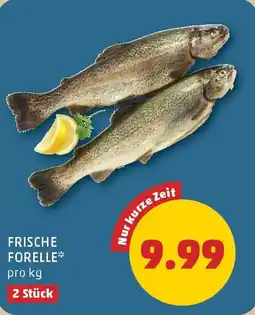 PENNY Frische forelle Angebot