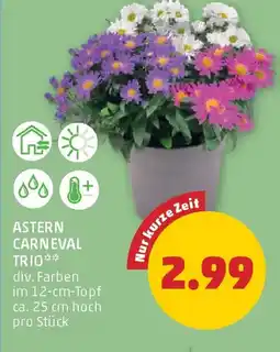 PENNY Astern carneval trio Angebot