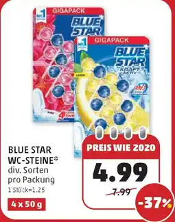 PENNY Blue star wc steine Angebot