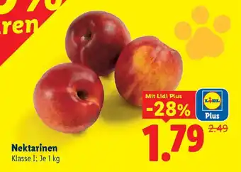 Lidl Nektarinen Angebot